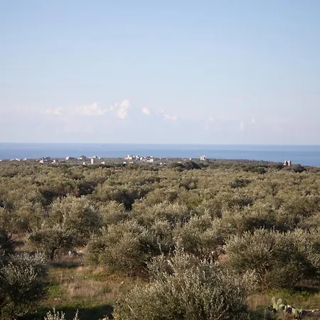 Anaroussa * Areopoli