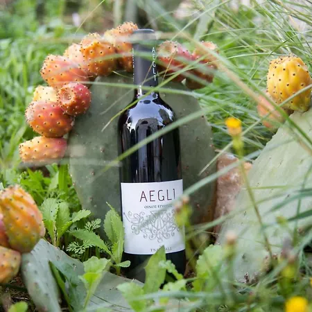 Anaroussa بيت للعطل